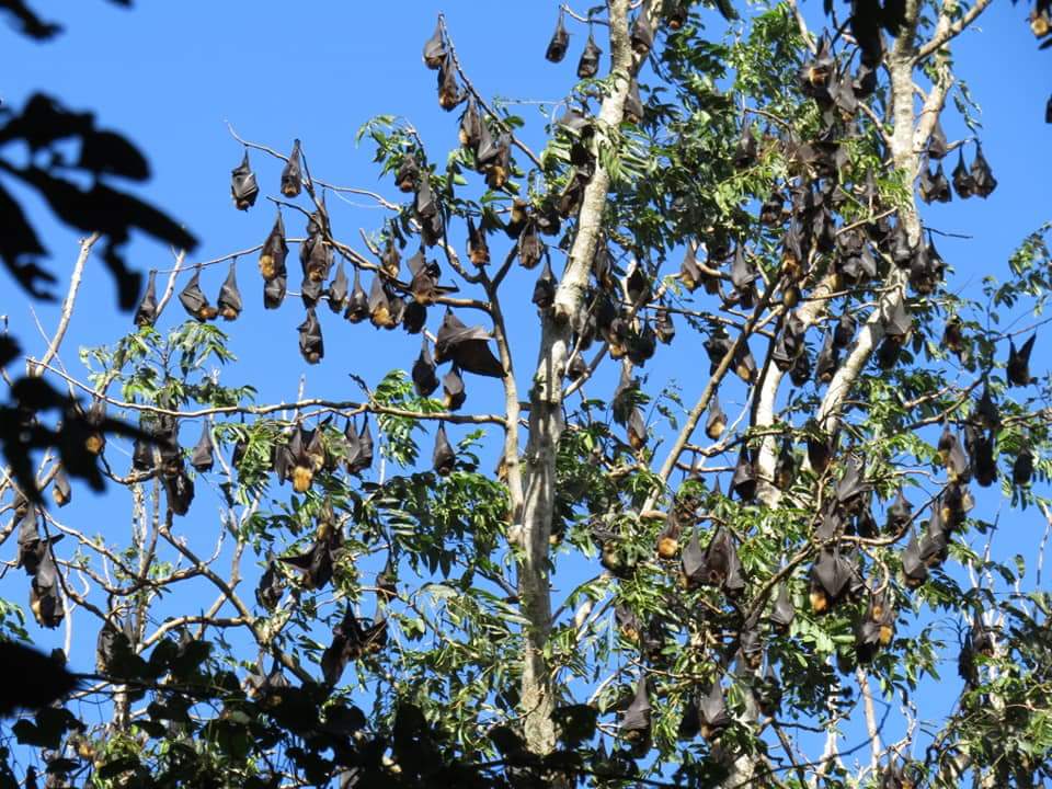 FB_IMG_1532980038100